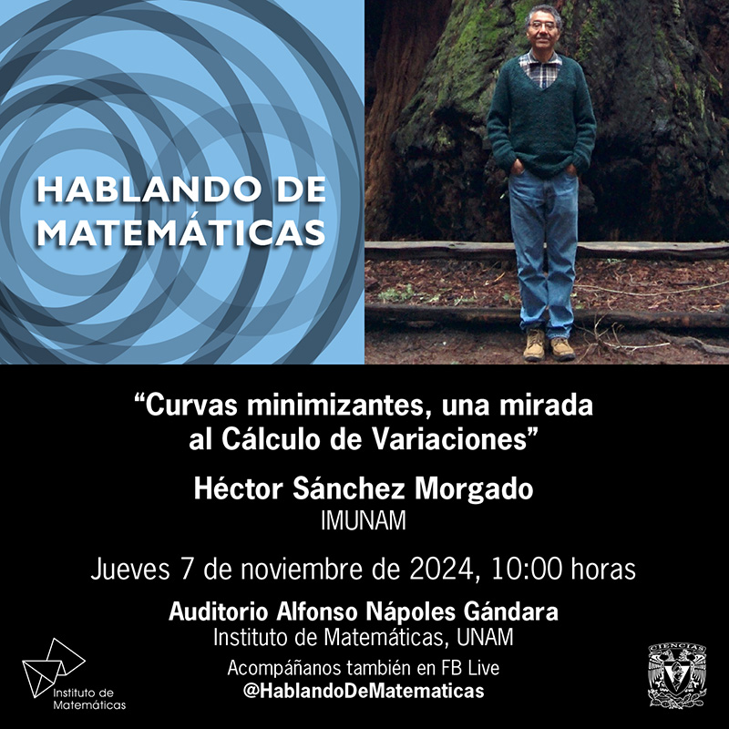 Curvas minimizantes, una mirada al Cálculo de Variaciones